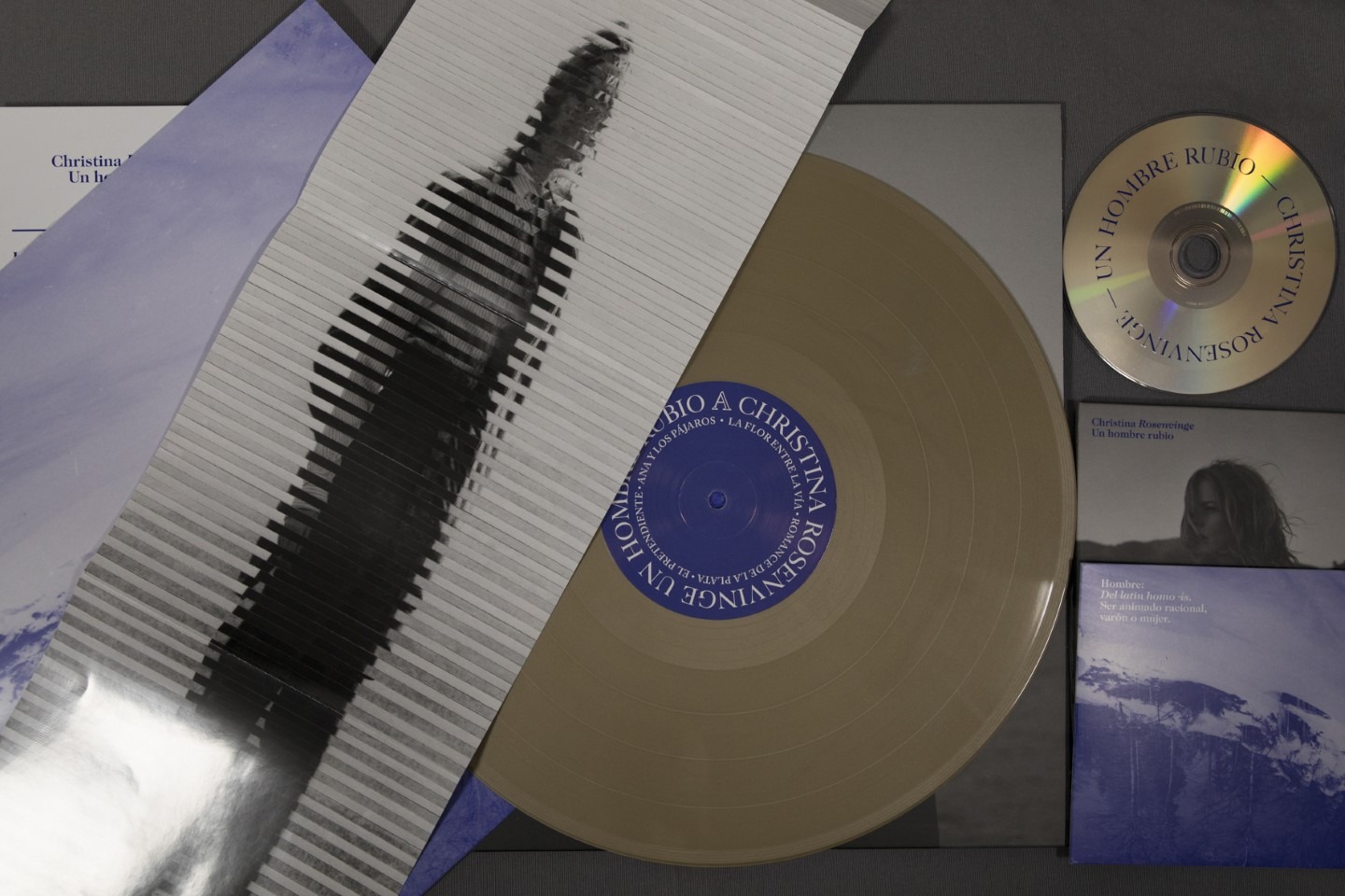 Christina Rosenvinge – Un Hombre Rubio - Vinilo 12”