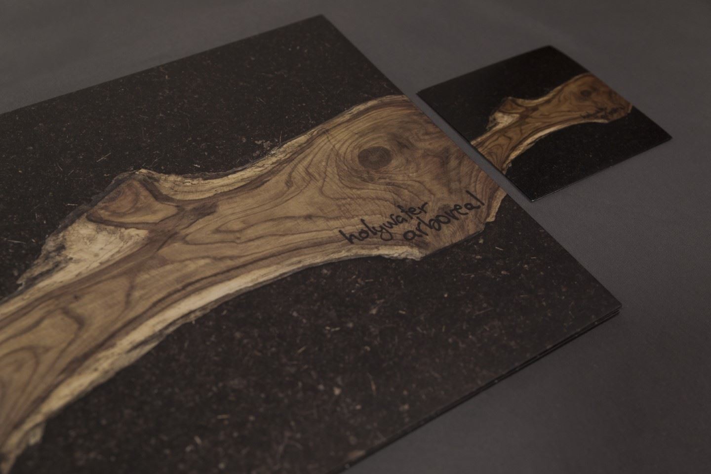 Holywater – Arboreal - Prensado Vinilo 12” + CD Cartón 